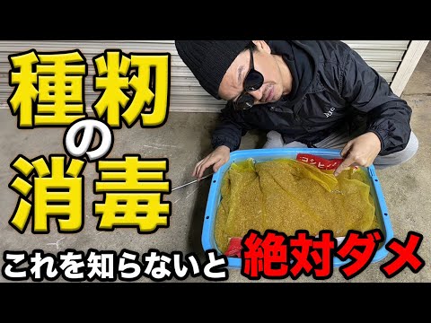 みなさん種籾の消毒液どうしてますか？これを知らないと大変なことに…(RICE IS COMEDY®︎)