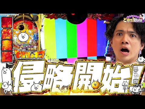 【Pにゃんこ大戦争】俺が打たなきゃ誰が打つ！！【れんじろうのど根性新台録】[パチンコ]#れんじろう