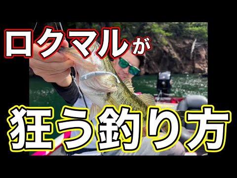 ロクマルわちゃわちゃ浮いてくる釣り方