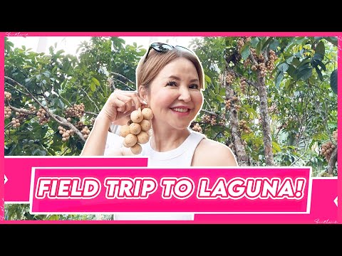 TAKE A FIELD TRIP WITH ME TO LAGUNA! (with Sis Alice and Melba) | Small Laude