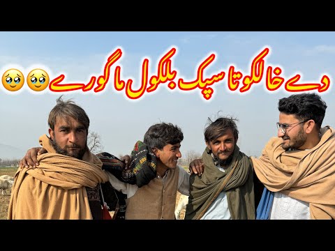 Ghani gado wala sara gap shap❤️🙏❤️ | Ghani khan vlogs | #funny #ghanikhan #comedy #pashto #village