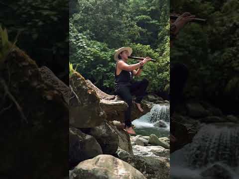 Anquayllu - Flute #relax #meditation #live #music #nature #amazon #ecuador #waterfall #soul #jungle