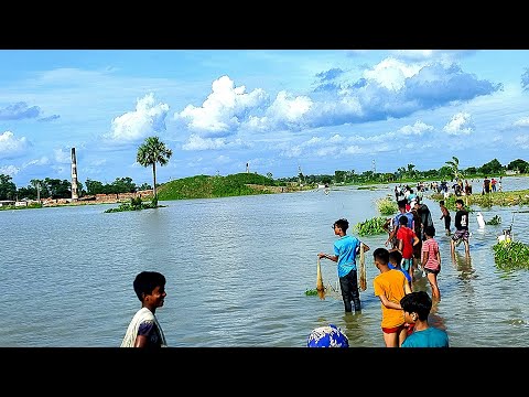 বন্যার পানিতে মাছ ধরার দুম না দেখলে মিস করবেন | amazing Fishing video in rainy day