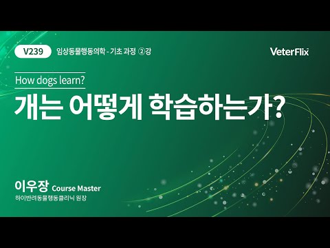 [베터플릭스][임상동물행동학] 개는 어떻게 학습하는가(How dogs learn?)