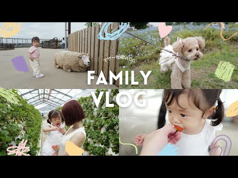 【マザー牧場VLOG】家族のとある1日💕初めての動物に大興奮👧✨いちご狩りもしたよ🍓【１歳10ヶ月】