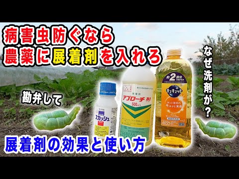 【病害虫】農薬の効果が劇的に向上　展着剤の効果と使い方