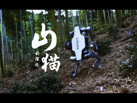 极限越野 | "山猫" 全地形越野机器人【云深处科技】#中国 #云深处科技 #china #机器人 #机器狗 #AI #全地形越野机器人 #科技 #未来