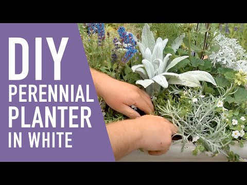 Perennial Planter in White 🖤  || West Coast Gardens