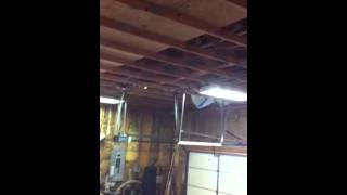 Birds Stuck in Garage