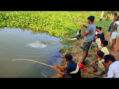 Hook fishing water | মুরুব্বি মুরুব্বি উহু  |Hook fishing in village #মুরুব্বিমুরুব্বিউহু