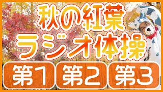 第68回😁ラジオ体操第1・第2・第3😁　笑顔で楽しく元気よく！毎日体操していきましょう～！！