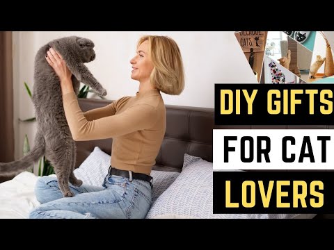 35+ DIY Cat Gifts for Cat Lovers That Show You Care!