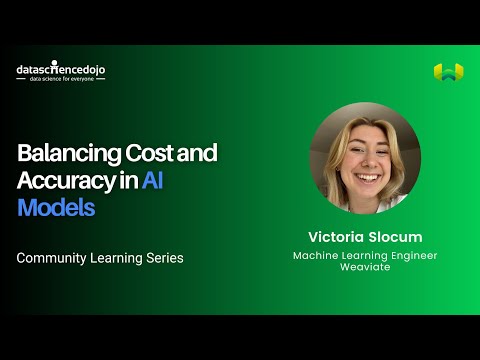 Balancing Cost and Accuracy in AI Models