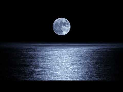 🔴 Sleep Music For A Happy Night Relaxing Music 'sleeping Moonlight'   Stress Relief (Nature Quest)