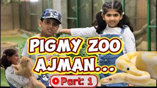 PIGMY ZOO AJMAN Part:1 | Kids Friendly Zoo in Ajman.😍#pigmy #zoo #ajman