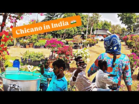 Chicano Walks Through Delhi: Real Life, Real People, Real India | Walking an Indian Hwy 🇮🇳