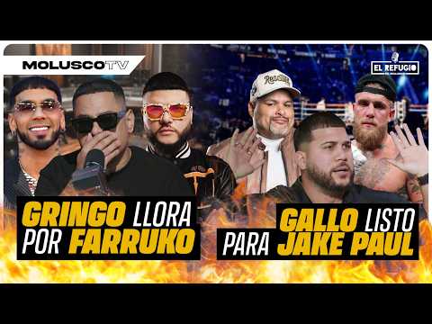 Gringo llora y acepta que le dio una galleta a Farruko: "Me arrepiento mil veces" / Gallo Vs Paul