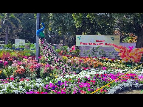 flower show Raipur 2025 #flowers #raipur