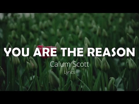 You are the Reason (LYRICS) HD - Calum Scott