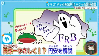 ハワイは卵１パック800円⁉　物価高・円安をわかりやすく解説！