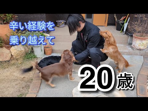 あの日こぼれ落ちそうな涙を堪えた彼が20歳になりました