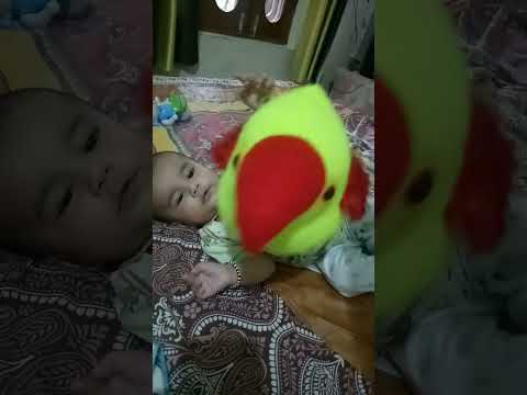 Mai tota Mai tota #nurseryrhymes #maitotamaitota #viral #trending #cutebaby #shorts #babysongs