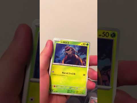 #ポケモンカード #ポケカ#ポケモン#テラスタルフェスex #開封動画 #ポケポケ