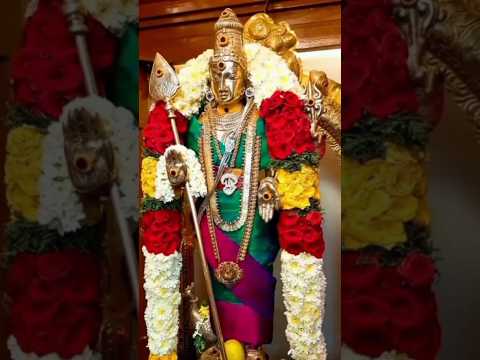 #MURUGA#APPAN#GOD#BAKTHI#DEVOTIONAL#VIRALVIDEO#TRENDINGSHORTS#SAAMISONGS