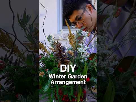 Easy Winter Arrangement that you can create from your garden 🌲❄️