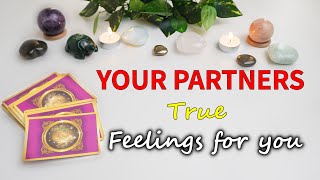 **MEGA-Detailed🔎🔮CURRENT FEELING OF YOUR PARTNER💕LOVE Predictions💕💏✨Psychic Tarot✨🔮Pick-A-Card✨DOB