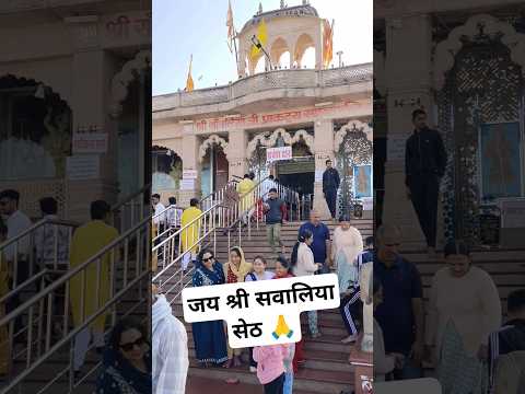 सांवलिया सेठ , मंडफिया live darshan #sawaliya #sawaliyaseth