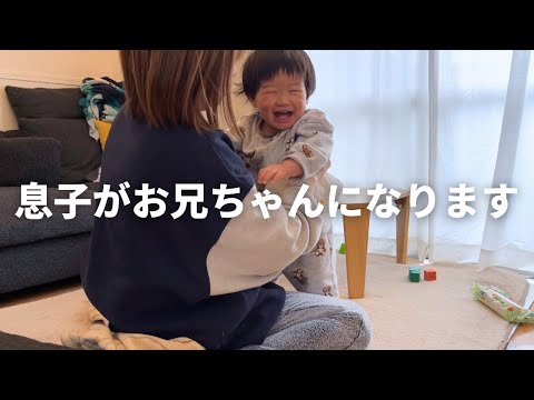 【近況報告】悪阻ピークを乗り越えた母と息子のなんでもない日常