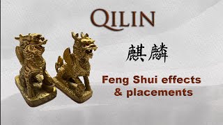 Qilin | Feng Shui