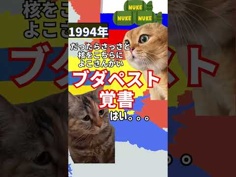 【猫ミーム】波乱万丈のウクライナ歴史 #猫ミーム #猫マニ #ウクライナ #ロシア