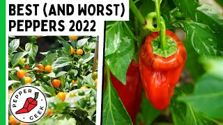 The Best (And Worst) Peppers Of 2022 - Pepper Geek