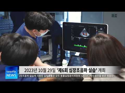 [베터플릭스] 2023년 6차 심장 초음파 실습_스케치 영상