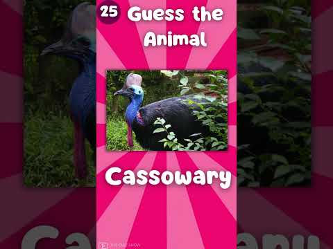 Guess 50 Animals in Just 3 Seconds – Can You Do It?|The Quiz Show