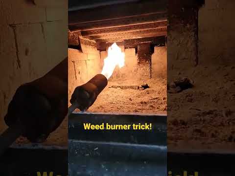 Woodstove startup with weed burner trick!