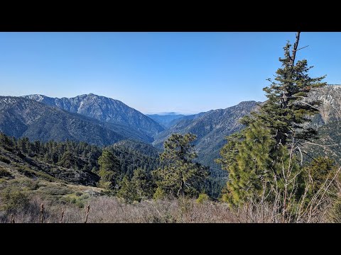 Pacific Crest Trail Thru Hike Episode 11 - Birthday Bash