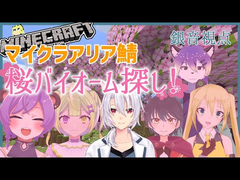 【マイクラ】新しいアリア鯖でサクラ探しですよ【銀音 / 個人勢Vtuber】