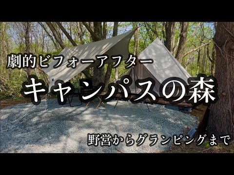 【キャンパスの森】無骨キャンプ場がもの凄い進化をしていた