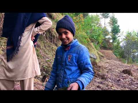 Kashmir | Kashmir village life 2024 | Kashmir beautiful places | kashmiri biker | Kashmir velog | k