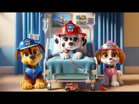 Paw Patrol Ultimate Rescue | MARSHALL is Hospitalized With A Broken Leg , SKYE is SO SAD | Rainbow 3