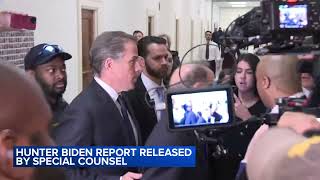 Hunter Biden report released by special counsel