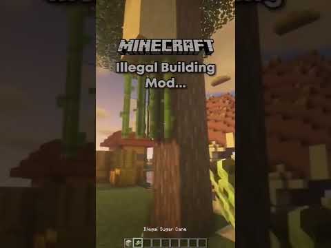 Minecraft illegal mod