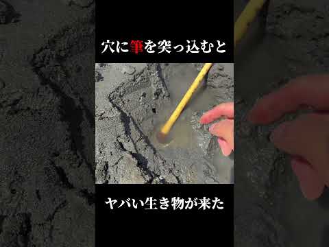 穴に太筆を入れると…