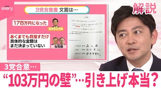 【年収の壁】103万円→来年から178万円？与党側「目指すだけ」  自民税調会長「釈然としない」の真意【#みんなのギモン】