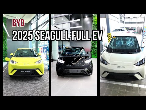 BYD Seagull Full EV