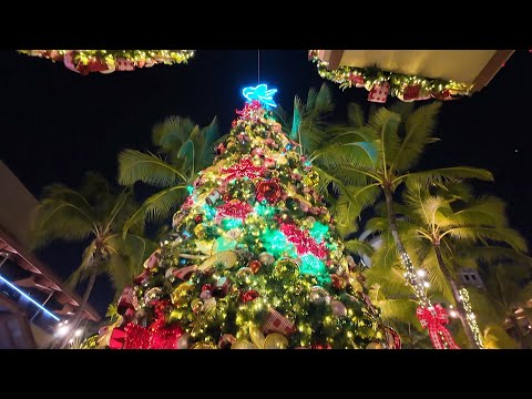 ワイキキのクリスマス2023"Hawaii Web TV"