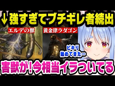 強すぎるラスボス『エルデの獣』にボコボコにされブチギレるぺこらｗ【ホロライブ切り抜き/兎田ぺこら】